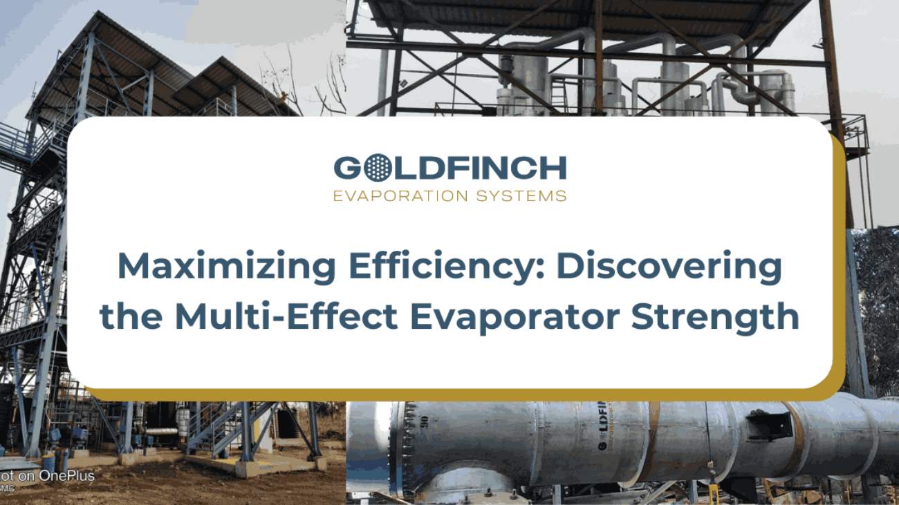 Multi-Effect Evaporator